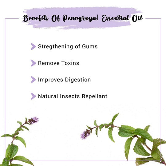 Organic Pennyroyal Essential Oil Benefits