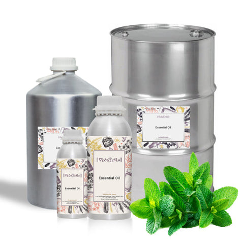 Buy Tobacco Vanilla Fragrance Oil Online  Bulk Manufacturer Of Tobacco  Vanilla oil – VedaOils