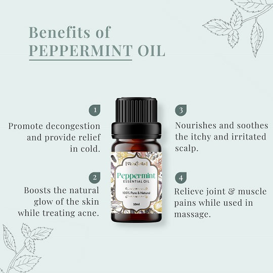 Peppermint Essential Oil Benefits
