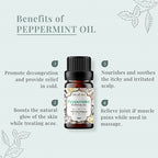 Peppermint Essential Oil Benefits