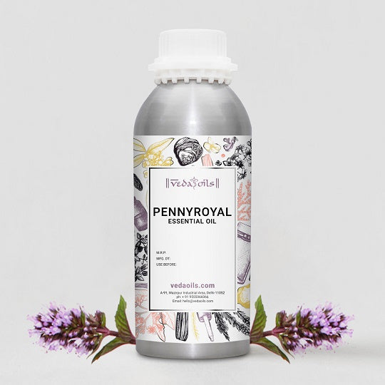 Pennyroyal Essential Oil Online