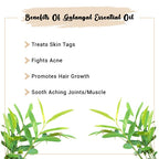 Pure Galangal Essential Oil Benefits