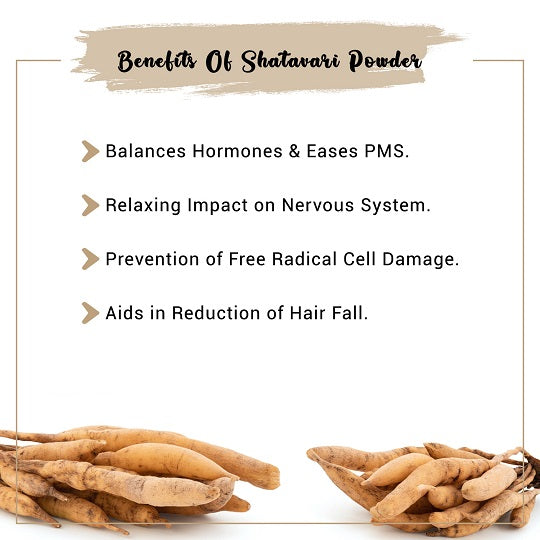 Shatavari Powder Benefits