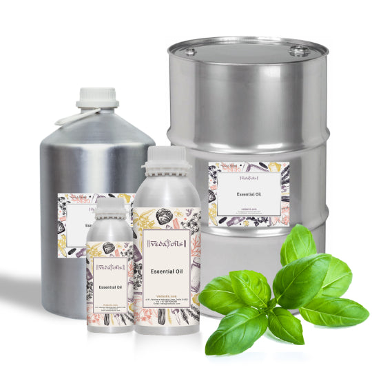 Sweet Basil Essential Oil Bulk