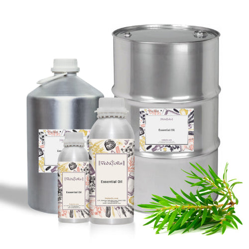 Tea Tree Essential Oil Wholesale