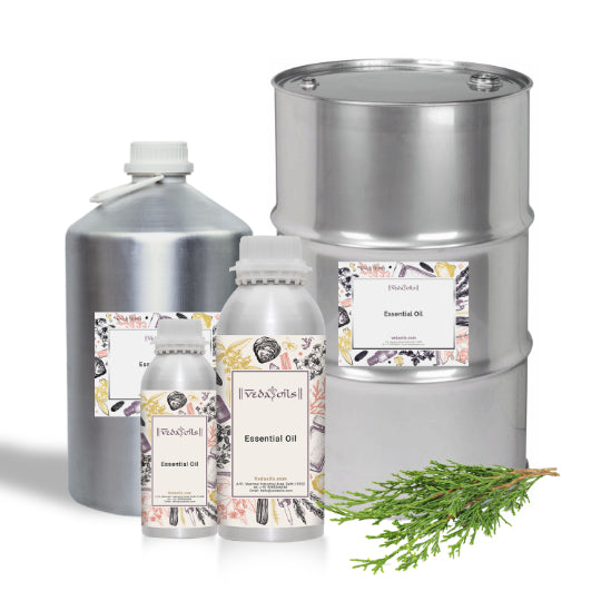 Thuja Oil Wholesale