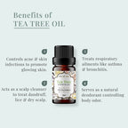 Tea Tree Oil Benefits
