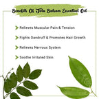 Tolu Balsam Essential Oil Benefits
