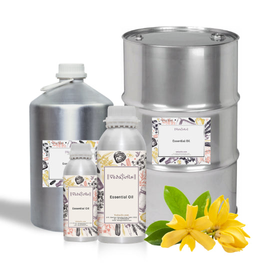 Ylang Ylang Essential Oil Wholesale