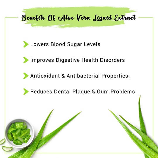 Aloe Vera Liquid Extract Benefits