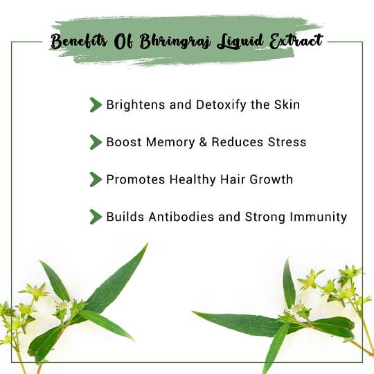 Bhringraj Liquid Extract Benefits