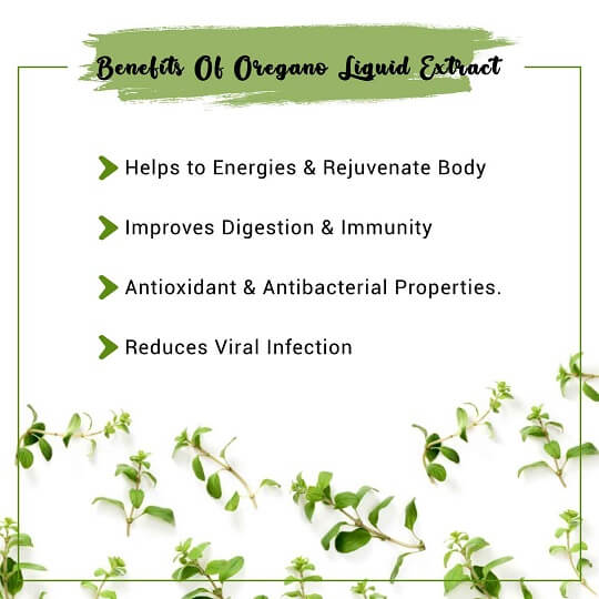 Oregano Liquid Extract Benefits