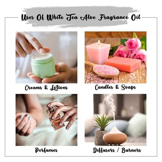 White Tea & Aloe Fragrance Oil Uses