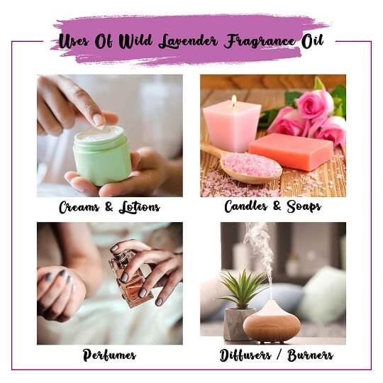 Wild Lavender Fragrance Oil Uses